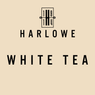 Beige background with Harlowe 1914 White Tea text and logo